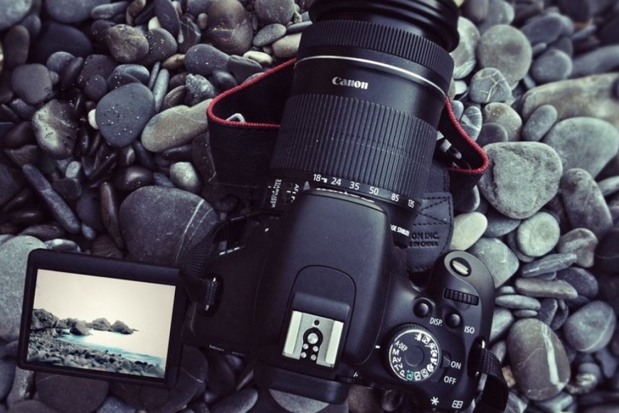 Mauris ut mauris kaz saze miax catem pos